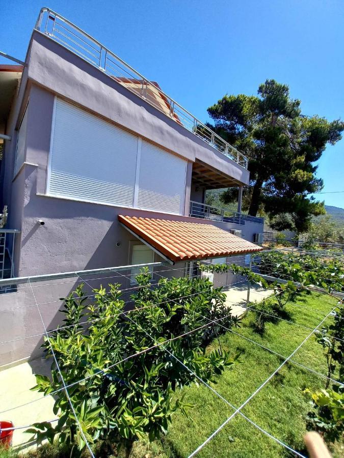 Guesthouse Eirini Porto Germeno Eksteriør billede